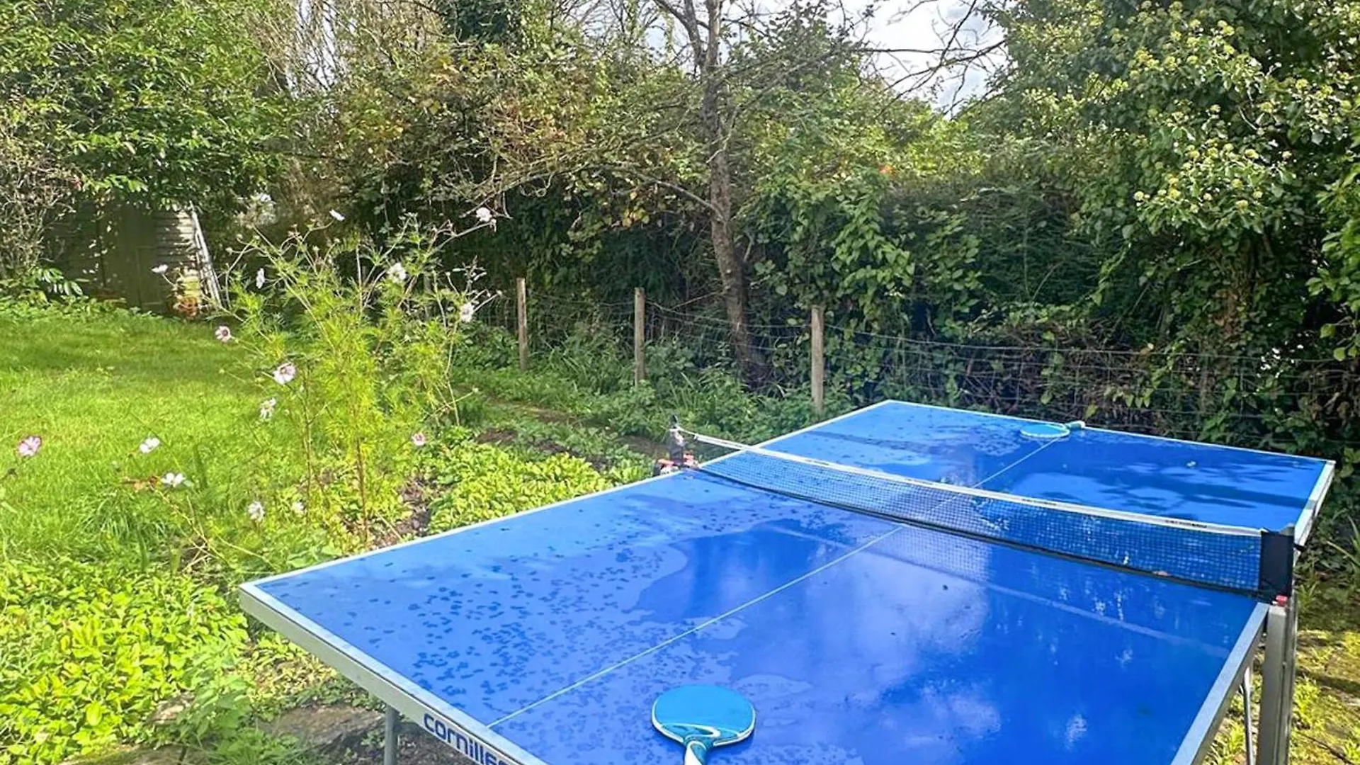 Ebford Court Villa Exeter Semesterbostad